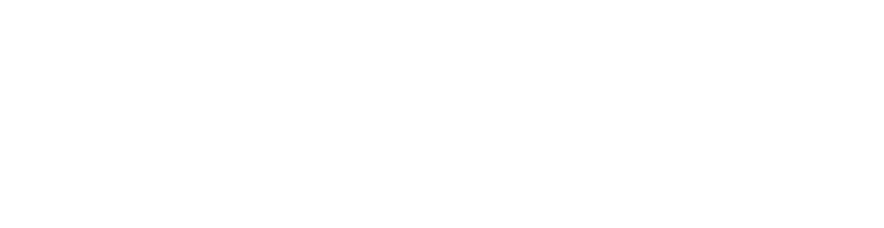 FS Expo logo