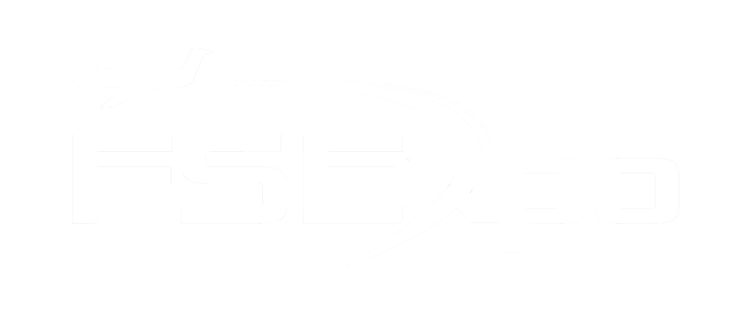 FS Expo logo